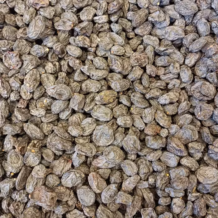 مویز ترک بدون هسته آفتاب خشک 500 گرمی 