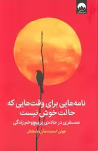 کتاب نامه‌هایی برای وقت‌هایی که حالت خوش نیست اثر همسفری در جاده‌ی پرپیچ‌ و خم زندگی