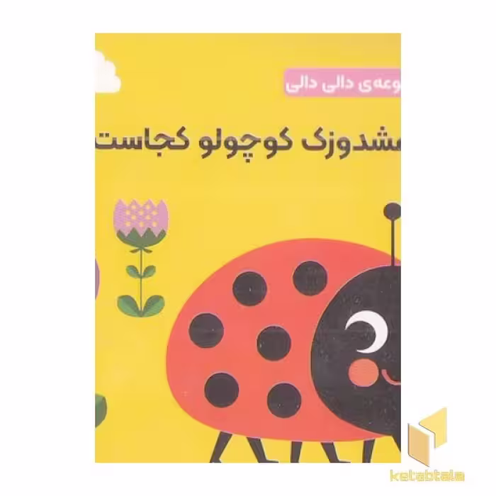 کتاب مجموعه دالی دالی-کفشدوزک کوچولو کجاست؟ اثر آنجلا آرنیوس نشر راز بارش