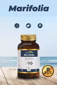 کپسول گیاهی Marifolia حاوی گل سنجد، برگ زیتون، کتیرا Hekimzade