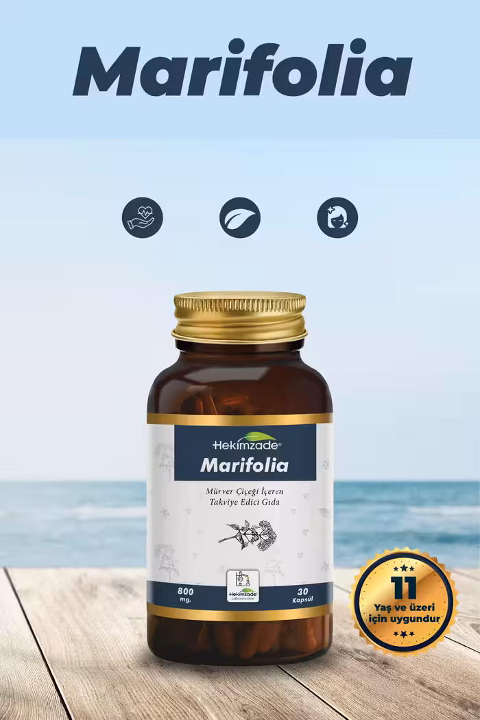 کپسول گیاهی Marifolia حاوی گل سنجد، برگ زیتون، کتیرا Hekimzade