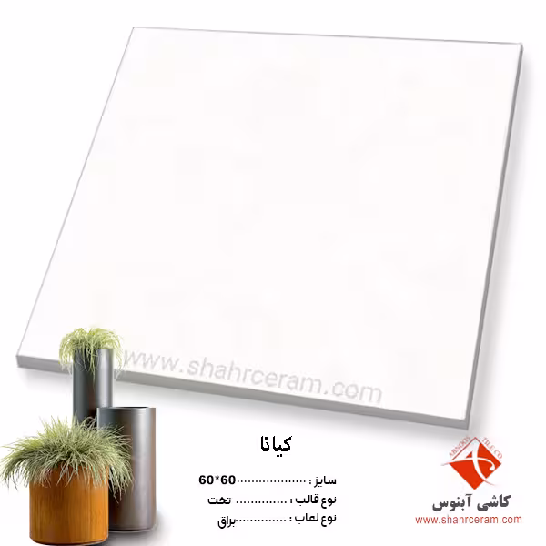 سرامیک کیانا 60*60 کاشی آبنوس