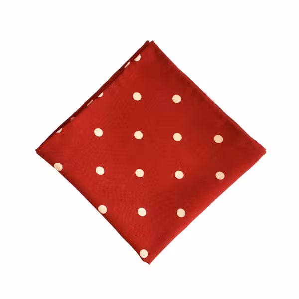 دستمال جیب دست دوز خالدار PSH1169