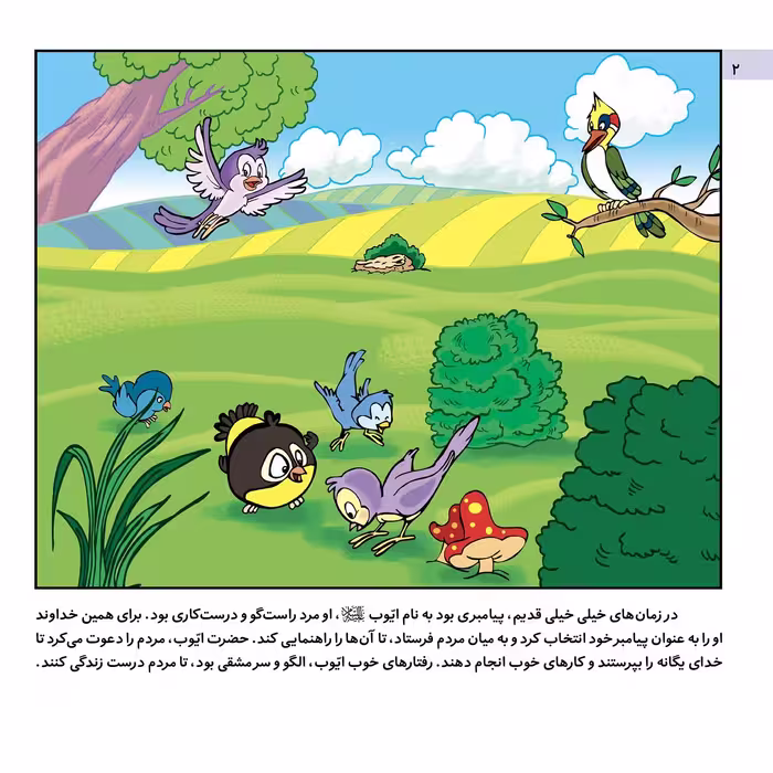 کتاب قصه هایی از پیامبران 13 حضرت ایوب (ع) اثر فاطمه قدیانی انتشارات برف