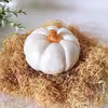 میوه تزئینی مدل کدو تنبل کد 632 بسته 2 عددی