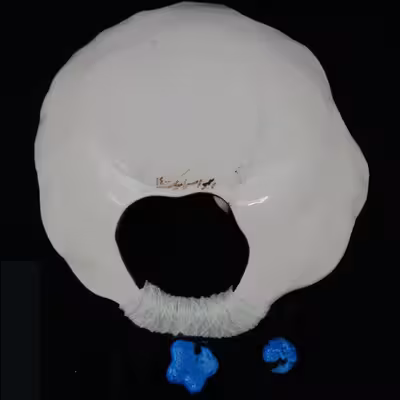 شیرینی خوری سرامیکی هیوا طرح نشان پرنده برجسته دسته دار کد 10999742