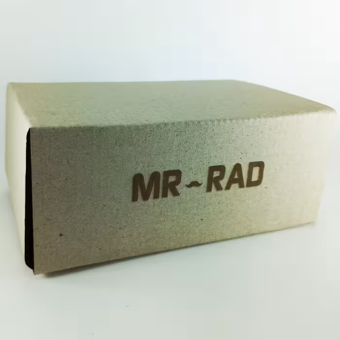 ساعت دیواری مستر راد مدل زندگی کد life 2022