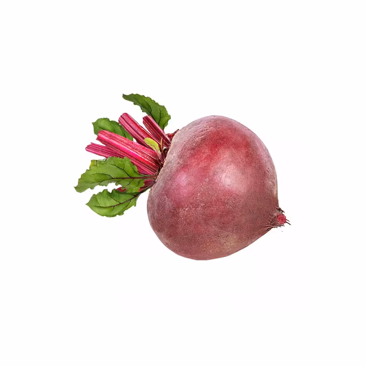 چغندر تازه ممتاز 1000 گرمی