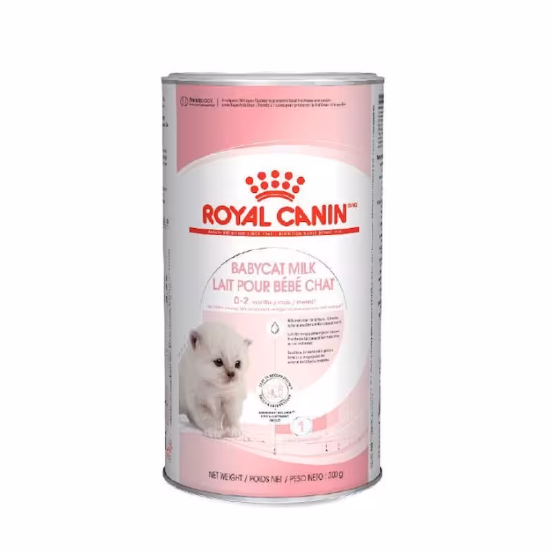 شیر خشک گربه رویال کنین بسته 300 گرمی