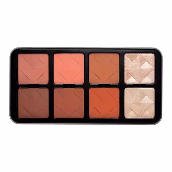 پالت رژگونه و هایلایتر چیک کارکتر _ C-A201