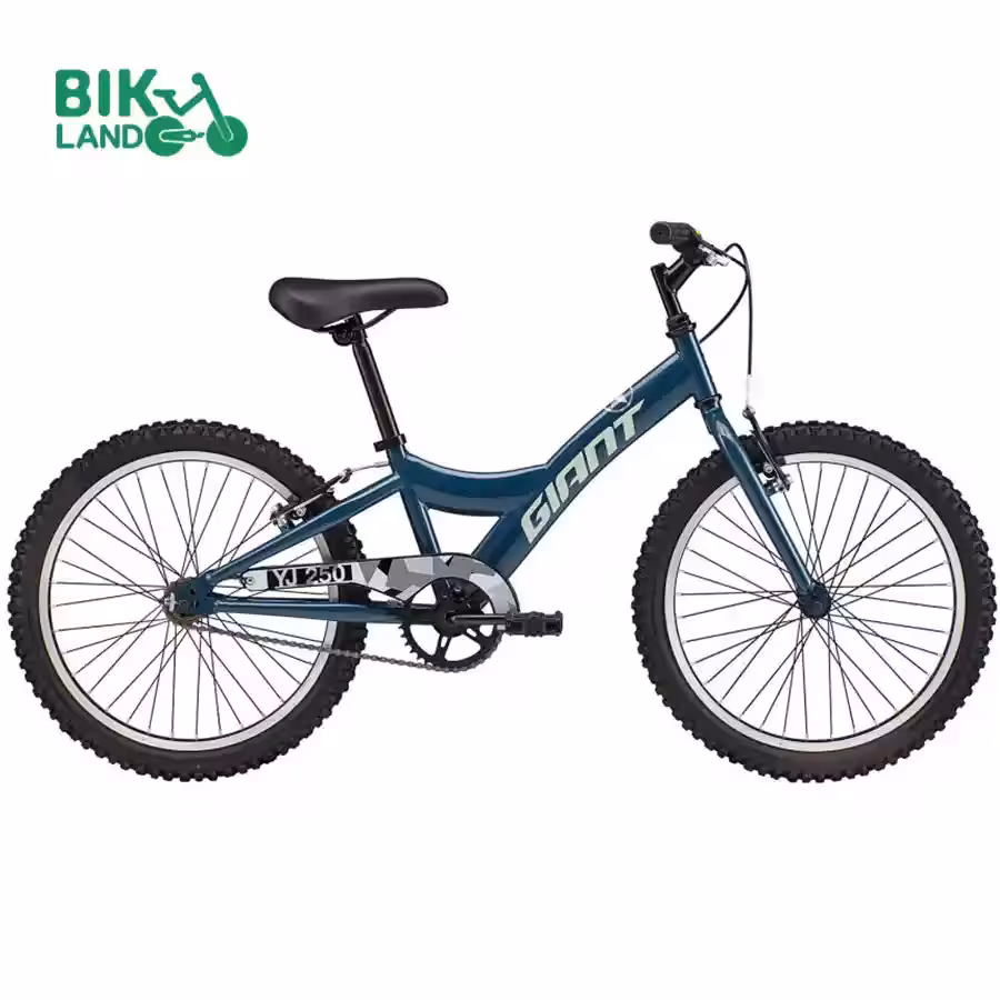 دوچرخه کودک جاینت مدل GIANT YJ250 (2022) سایز 20GYJ2520