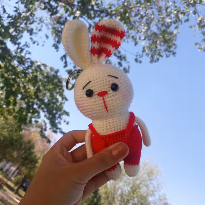 جاکلیدی خرگوش قابل تغییر به اویز ماشین اویز کیف