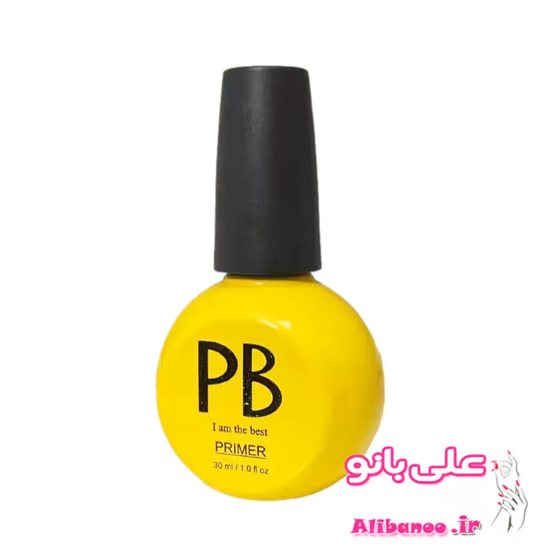 پرایمر غیر اسیدی 30 میل پی بی PB