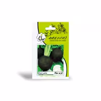 بذر ترب سیاه آرکا بذر ایرانیان