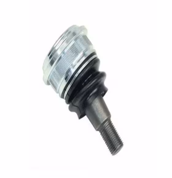 سیبک طبق النترا