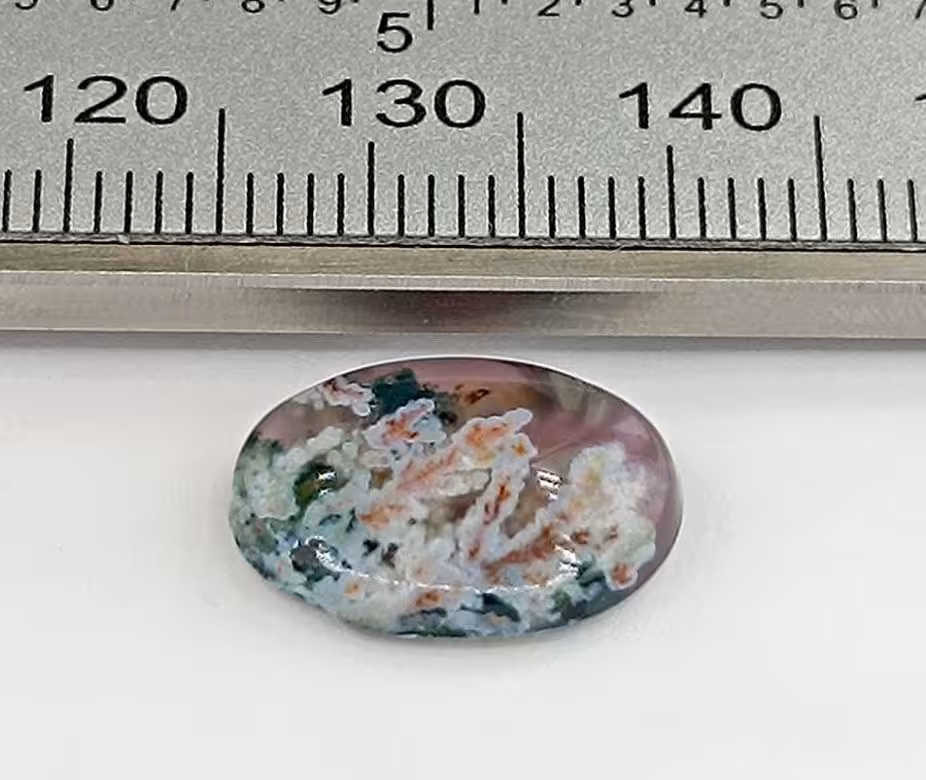 نگین شجر طبیعی کد 12081