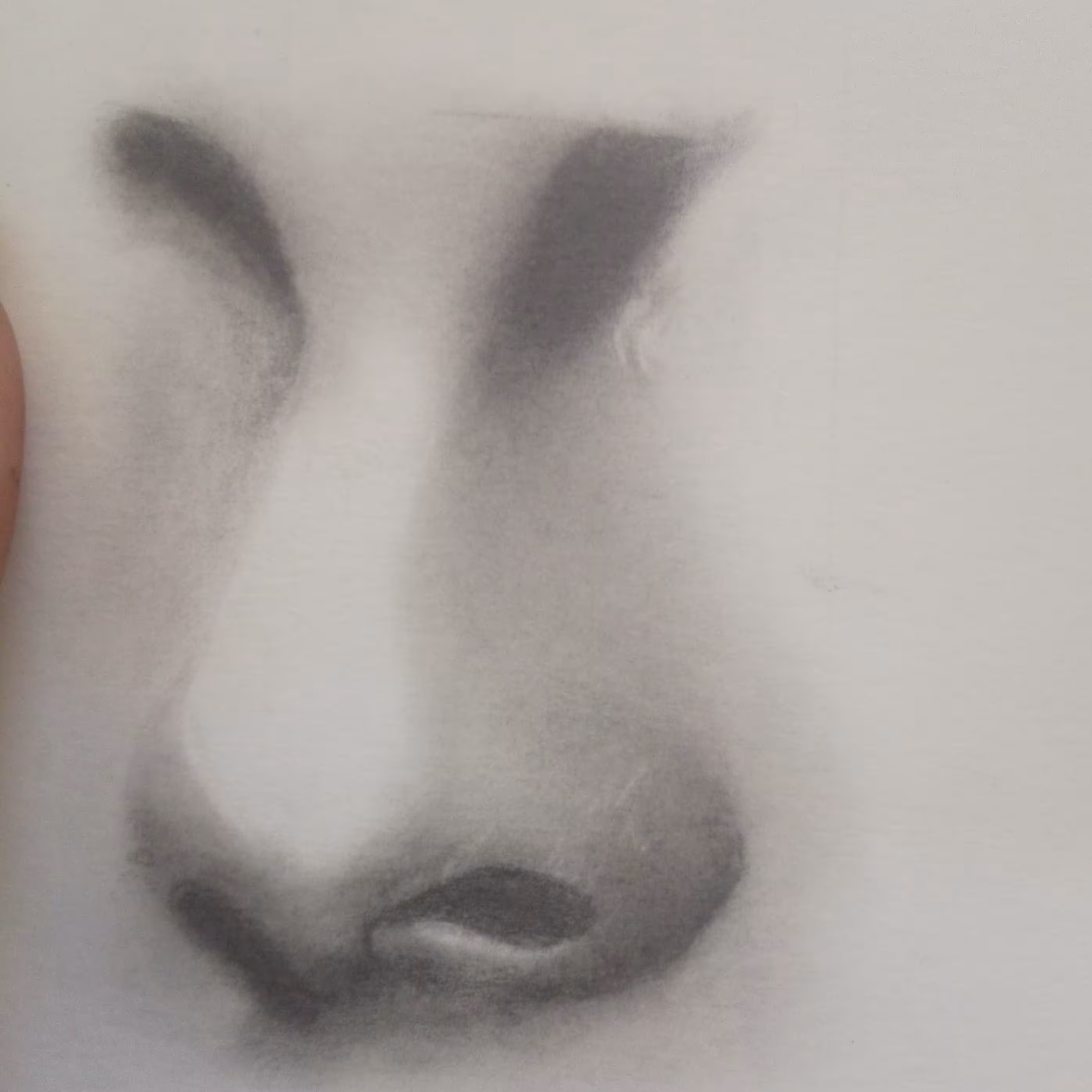 گوش و لب طراحی سیاه قلم