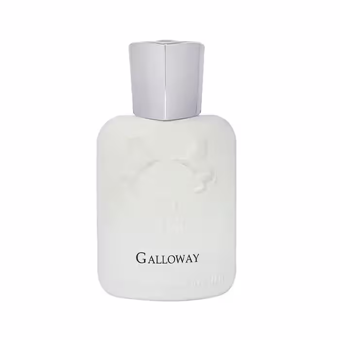 ادکلن جیبی برندینی مدل گالووی Galloway حجم 33 میل