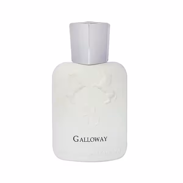 ادکلن جیبی برندینی مدل گالووی Galloway حجم 33 میل