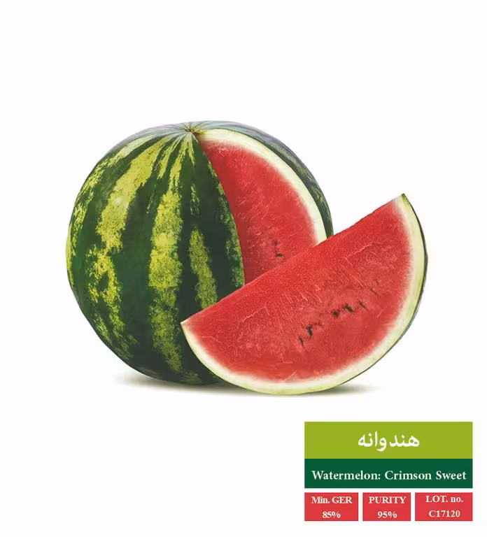 بذر هندوانه کریمسون - بذر طلایی رویان