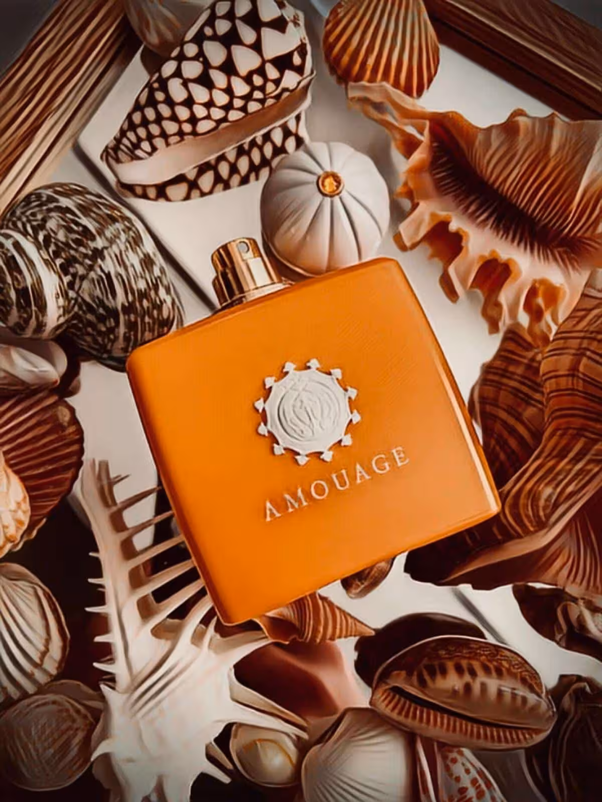 عطر ادکلن آمواج بیچ هات زنانه اصل | Amouage Beach Hut Woman 100 ml