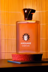 عطر ادکلن آمواج اورتور مردانه اصل | Amouage Overture Man 100 ml