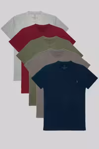 بسته 5 عددی تیشرت مردانه 100% پنبه - آبی تیره، خاکستری، زیتونی، bordo (بوردو)، خاکستری ملانژ - 6579