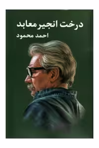 کتاب درخت انجیر معابد احمد محمود انتشارات معین دوجلدی