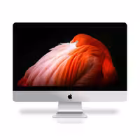 کامپیوتر All in One استوک اپل iMac A1418 2017 Core i5 7th Generation 16GB 256GB
