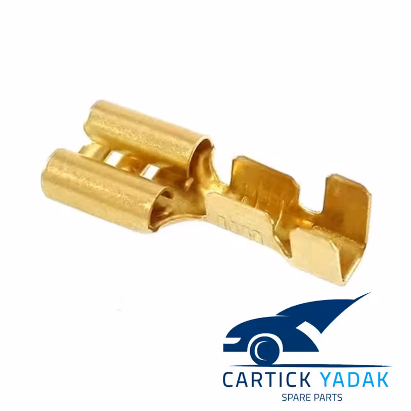 فیش برنجی مادگی