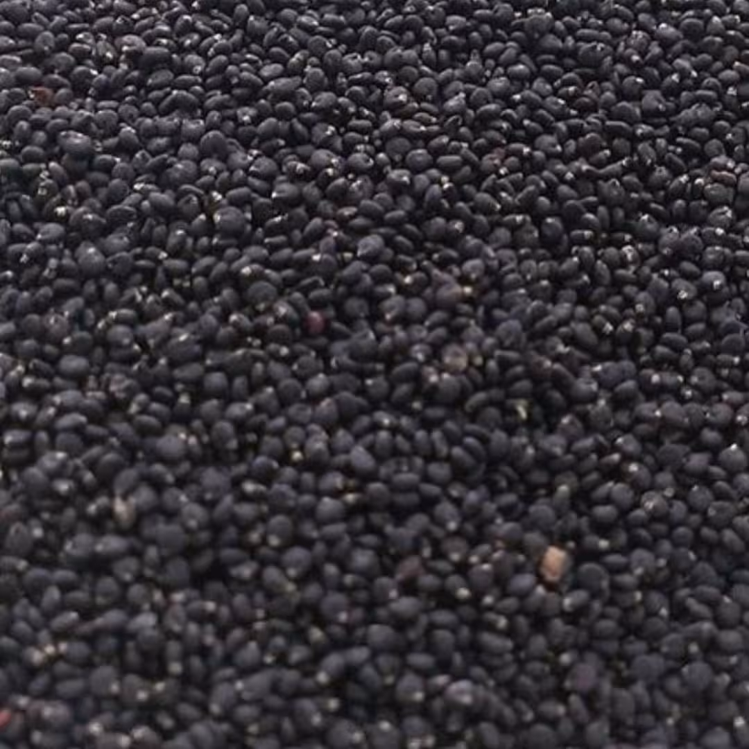تخم خرفه (80گرمی)طبیب