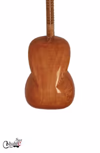 تار علیرضا علیاری دو مهر