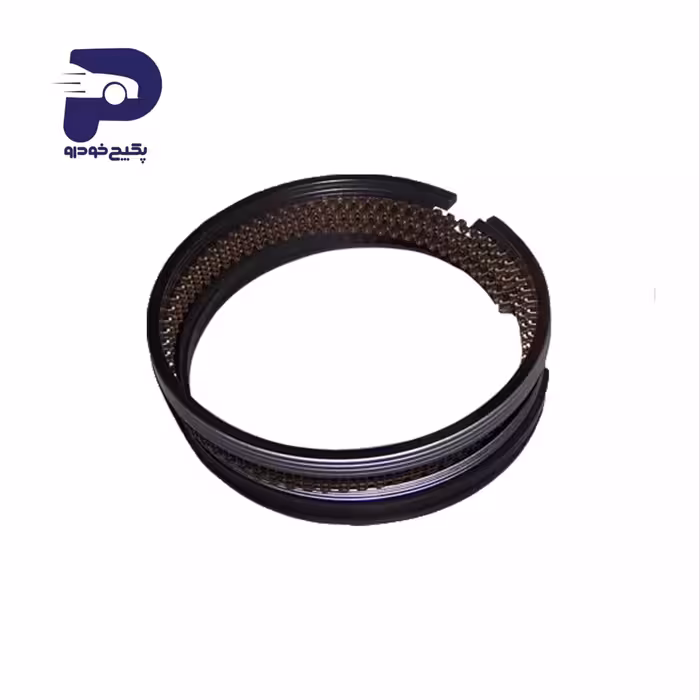 رینگ پیستون 472-BJ1004030BA چری