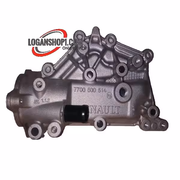 هوزینگ ترموستات رنو تندر90