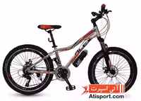 دوچرخه Alex formula 24 777