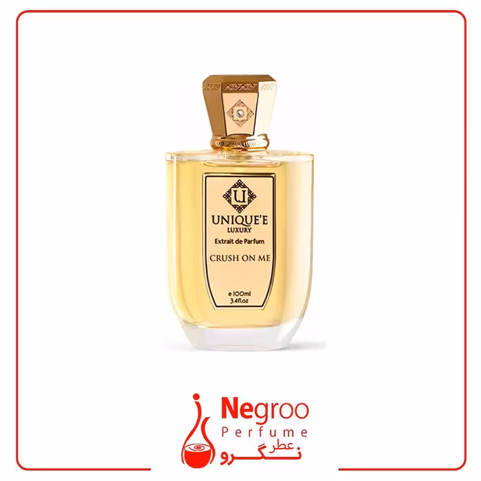عطر ادکلن یونیک لاکچری کراش آن می 100 میل