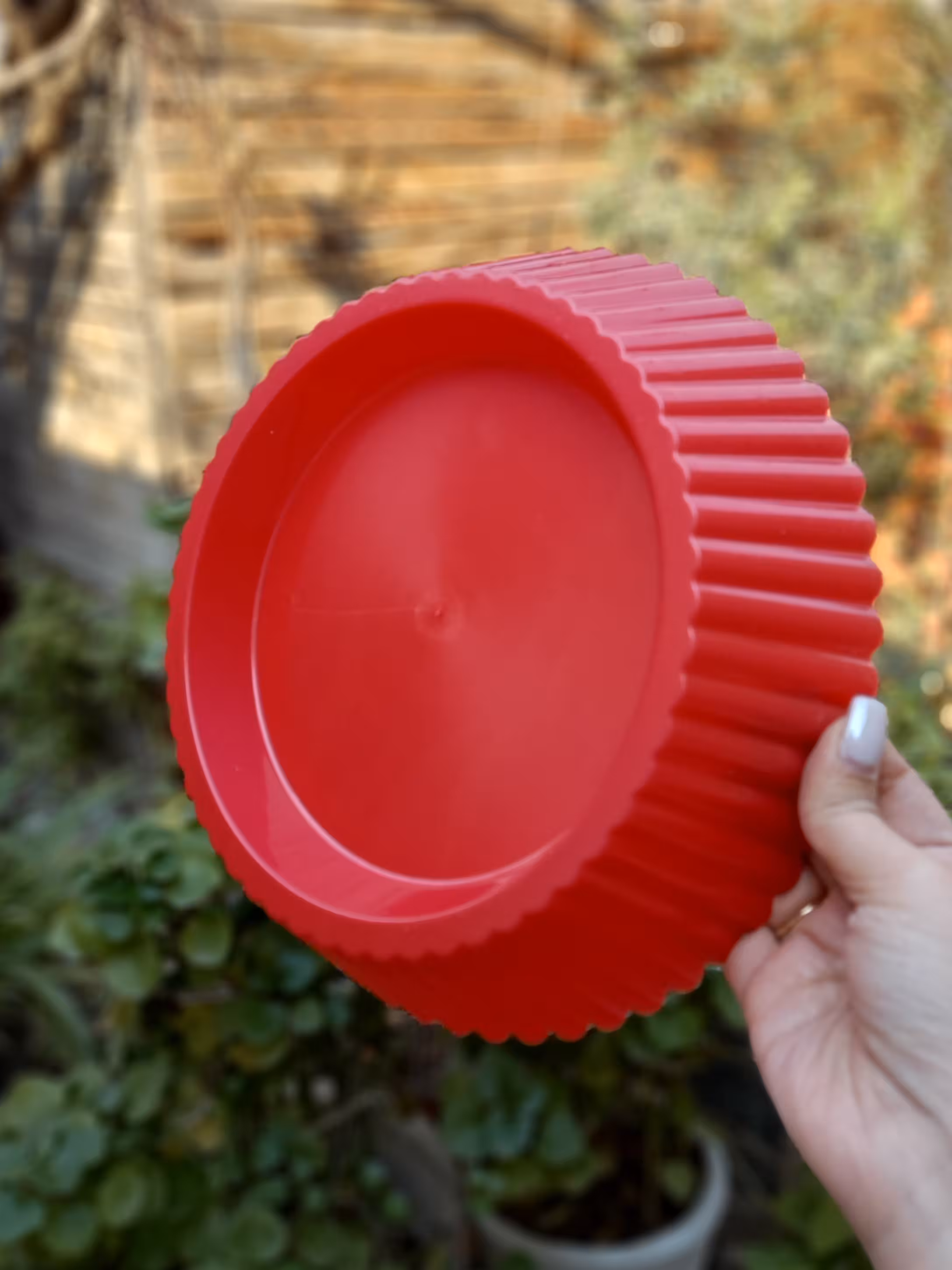 قاب پلاستیکی تارت