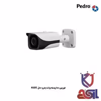 دوربین مداربسته بولت پدرو مدل K605