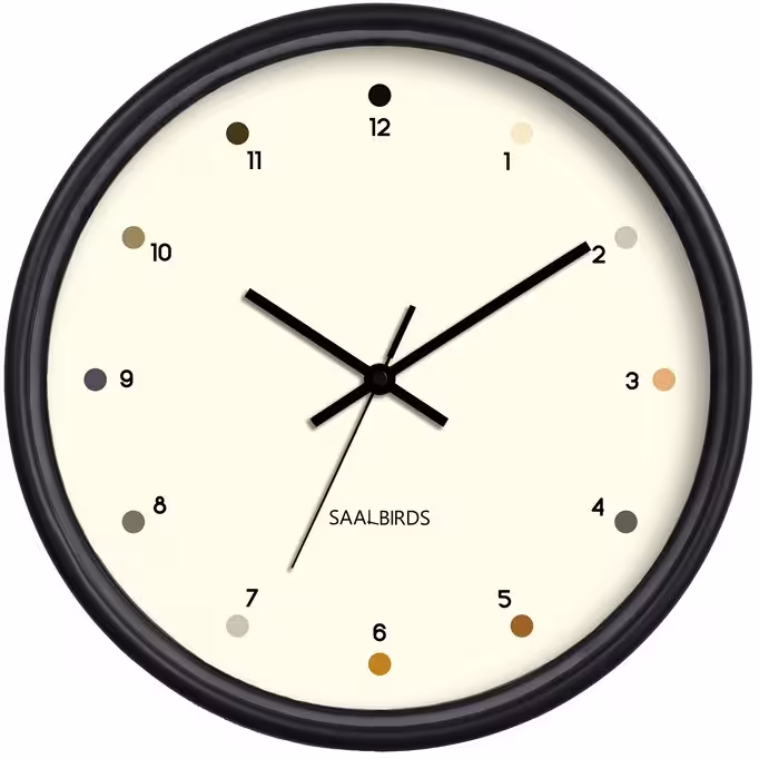 ساعت دیواری مدل سال بردز CW-169 ساعت دیواری مدرن-ساعت دیواری کلاسیک-ساعت دکوراتی