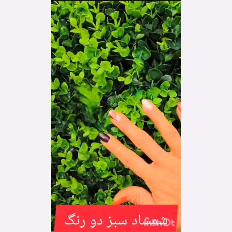 گرین وال شمشاد سبز دو رنگ ابعاد 50در50 cm (دیوار سبز/گرینوال)(پس کرایه)