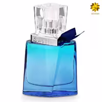 Remy Marquis Shalis Man Edt 60ml
