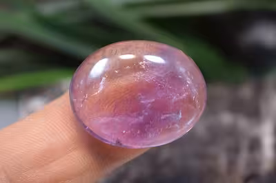 امتیست دامله(کاپوشی)