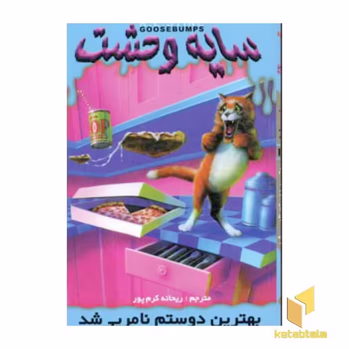 کتاب سایه وحشت (14) بهترین دوستم نامرئی شد اثر آر ال استاین، نشر ویدا