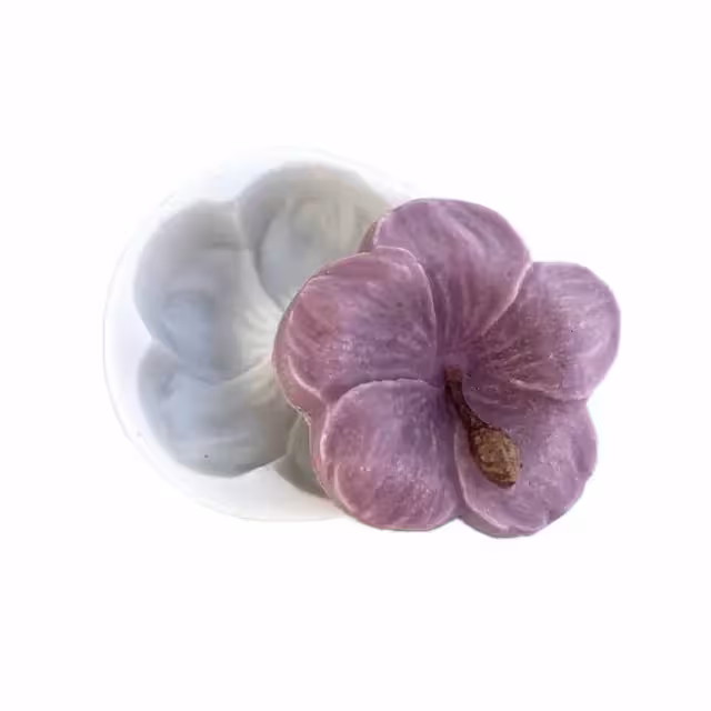 مولد گل ختمی 667 دکترمولد