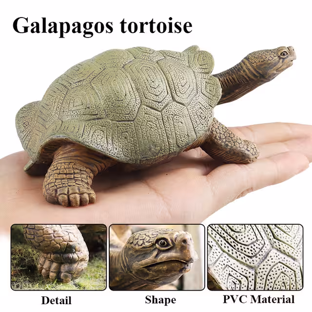 فیگور لاکپشت گالاپاگوس سبز Galapagos Green Tortoise Figure
