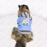 هودی لی و راه راه سگ و گربه مدل k67