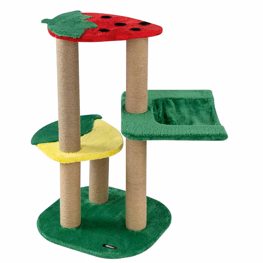 درخت گربه میوه ای نیناپت کد A