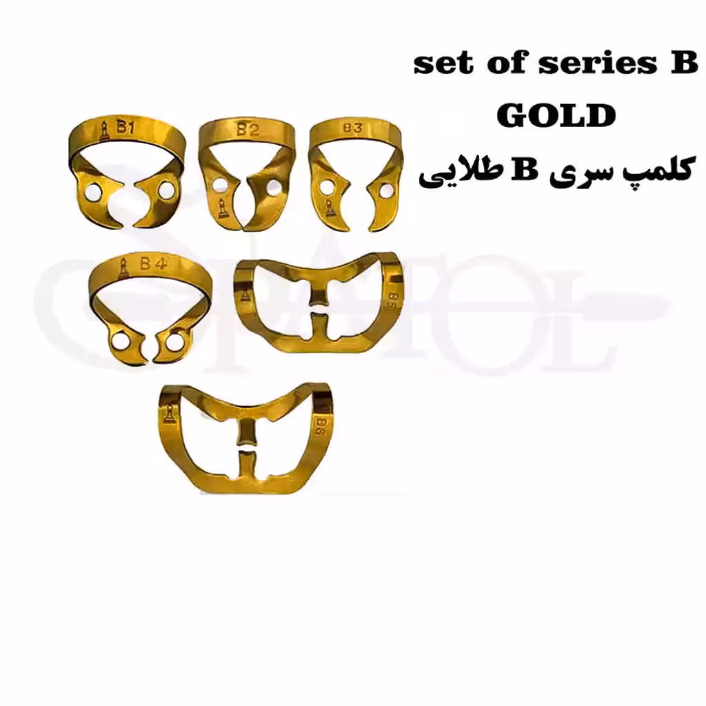 ست کلمپ رابردم سری B تیتانیومی (2رنگ) کاریزما Charisma