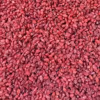 زرشک  لوکس