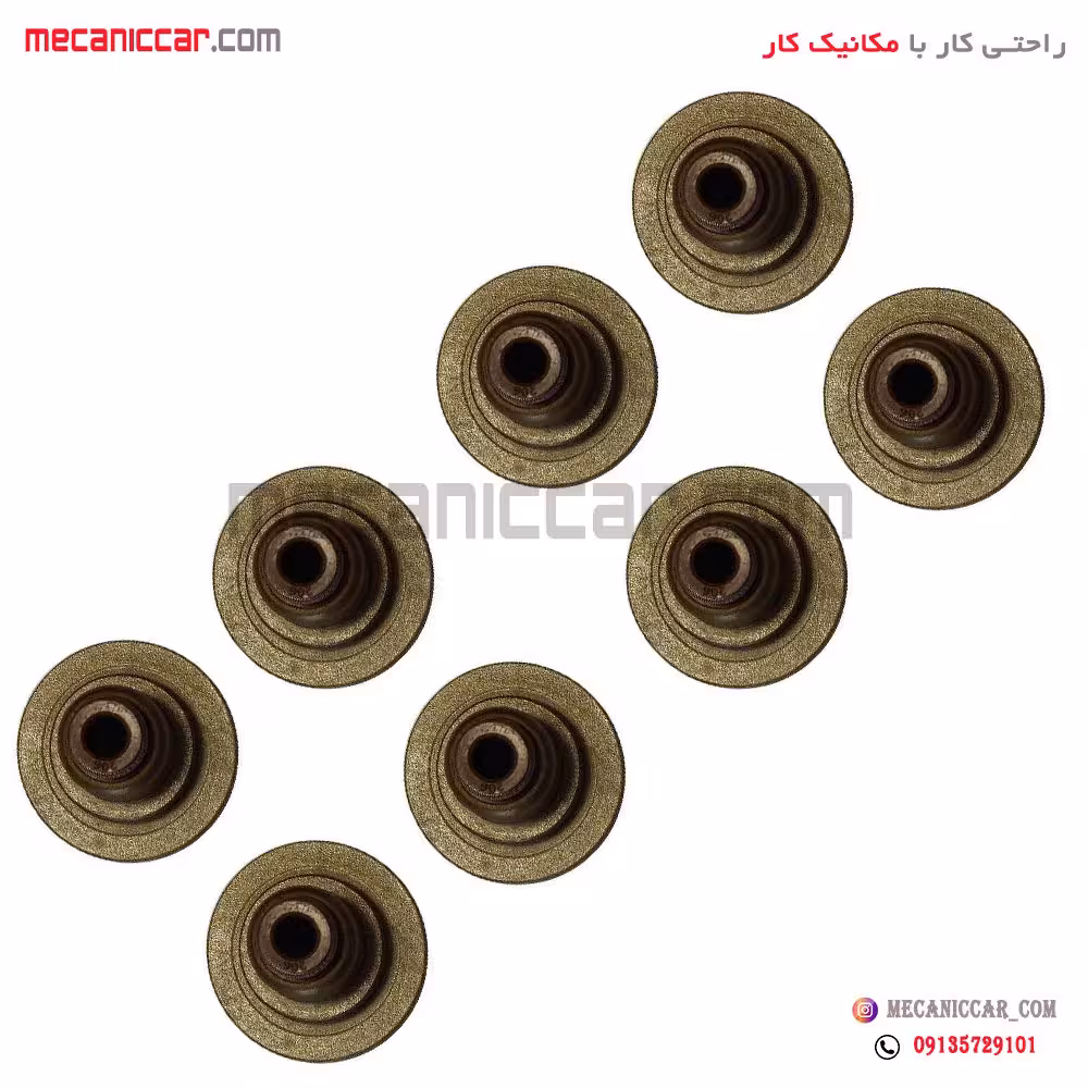 لاستیک سوپاپ تیبا و ساینا ویژن